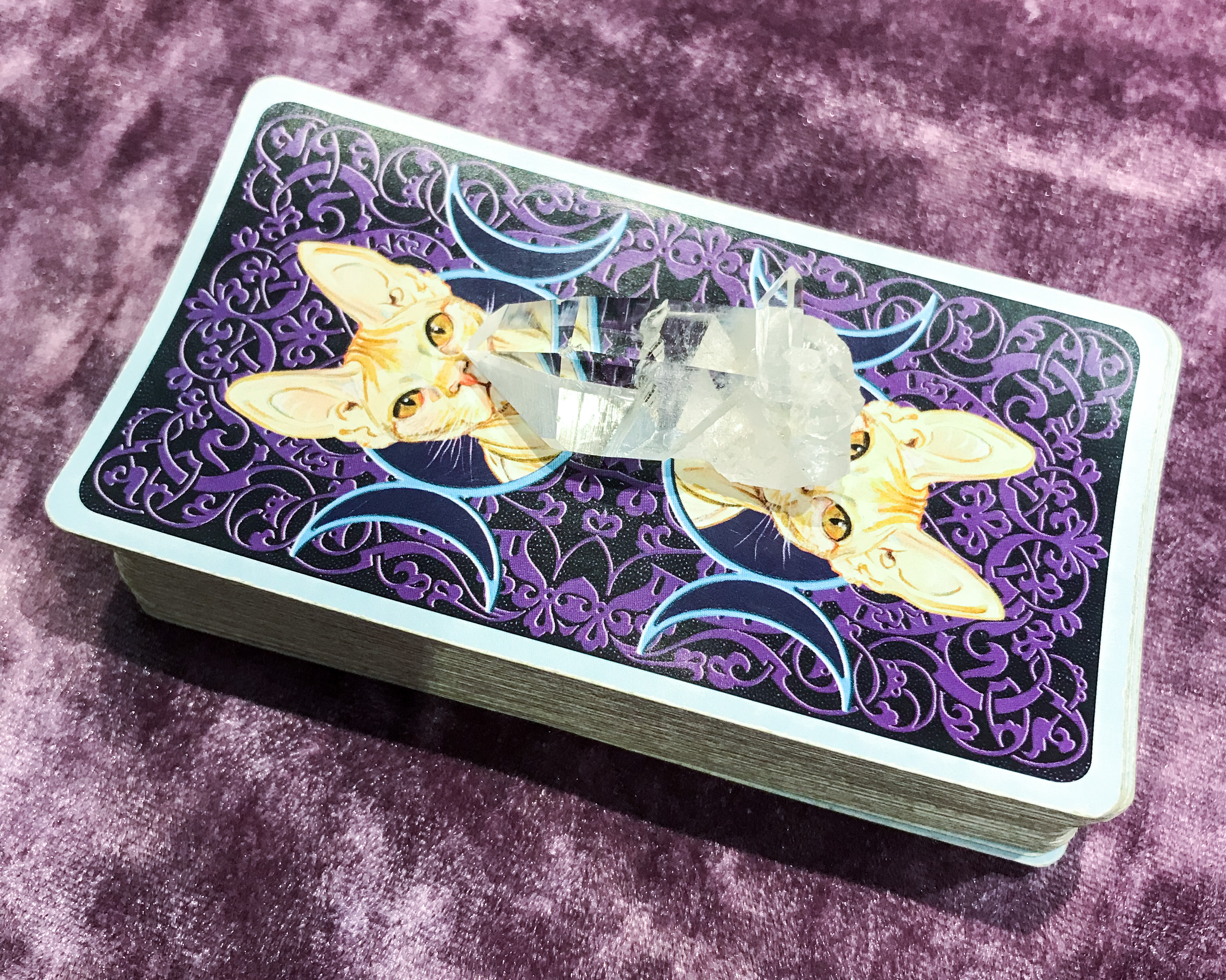 6B1AC371-3741-4801-AB38-D7CE433EBAA1