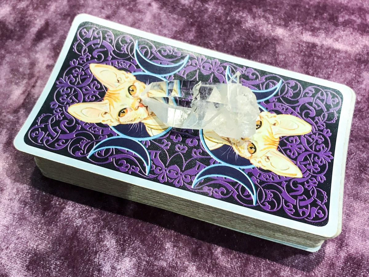 【北千住占いサロンABACA】タロット占いはなぜ当たるのか