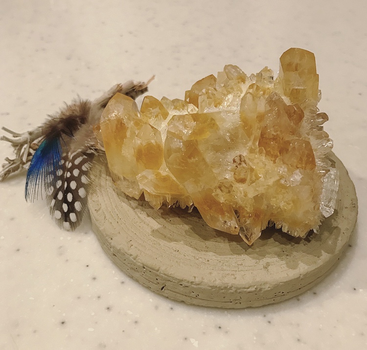 555650B9-B48B-4A2F-B2E0-AF23794C0909