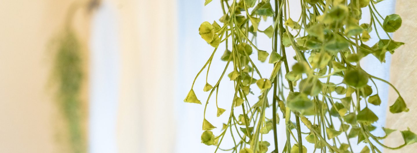 【ABACA】北千住個室占いサロン