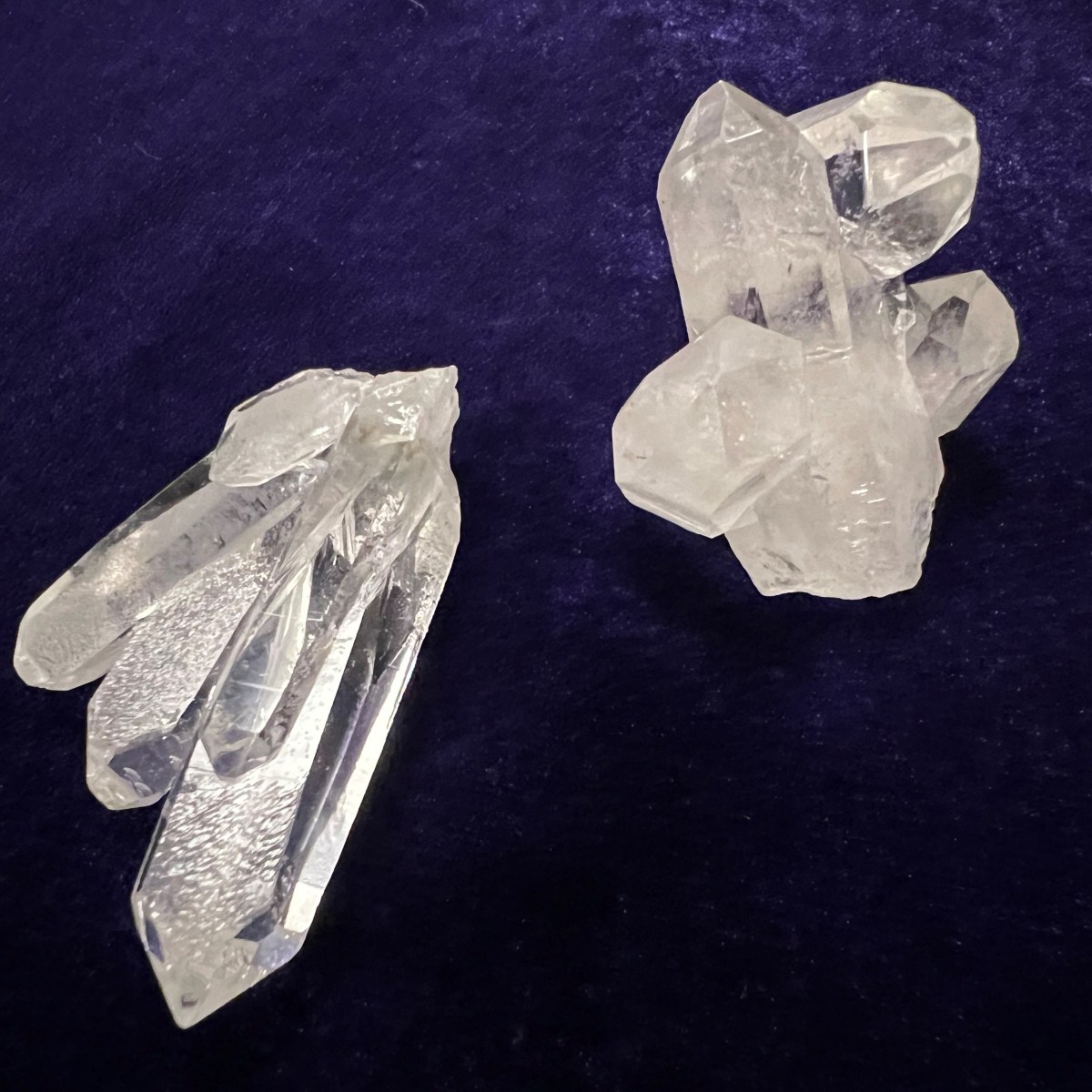 東京ミネラルショー2022に行ってきました