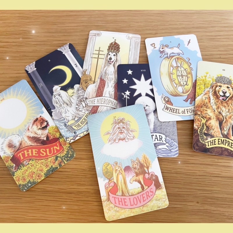 猫があるなら犬だって・・・、あるんです