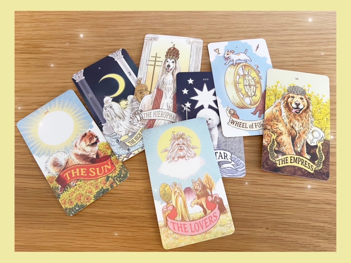 猫があるなら犬だって・・・、あるんです