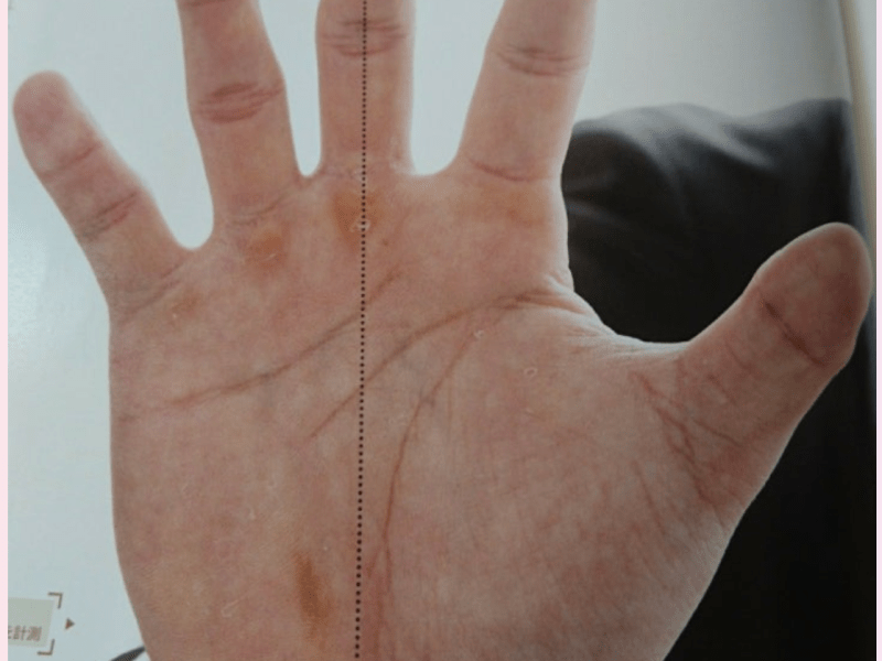 大谷翔平選手の手相