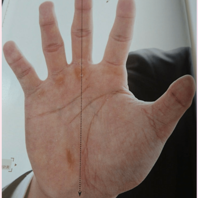 大谷翔平選手の手相